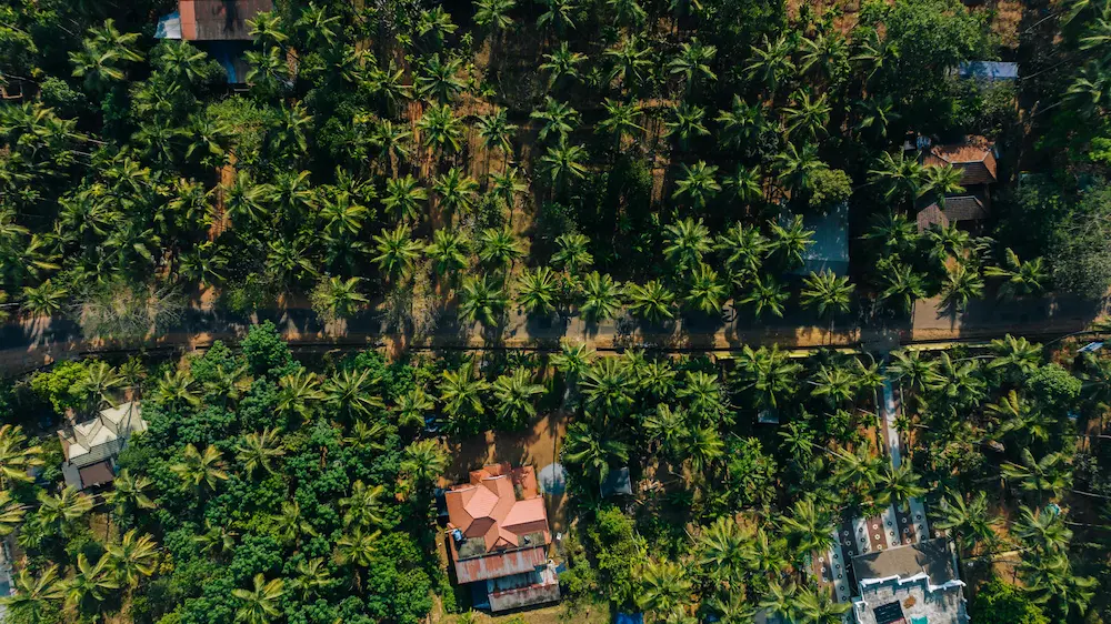 kerala-homes