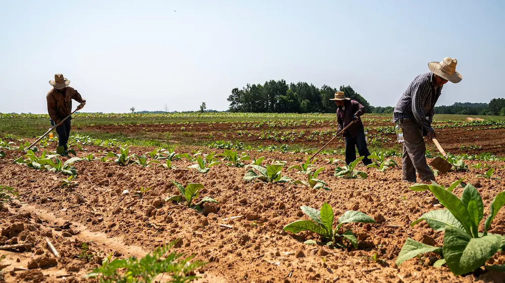 solar-farming-kerala